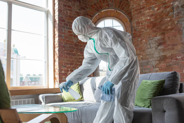 Best Forensic Mold Investigation  in Beavercreek, OH